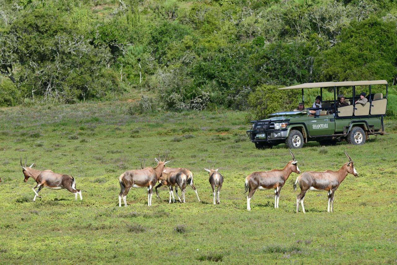 Shamwari Riverdene Paterson Εξωτερικό φωτογραφία